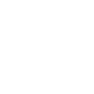 Mapna Group